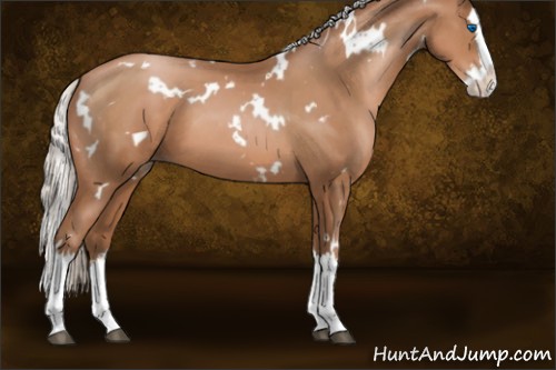 Horse Color:White Spotted Silver Brown Pearl Splash 