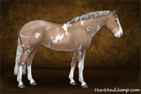 Horse Color:White Spotted Silver Black Pearl Splash