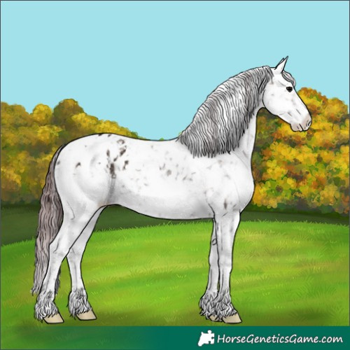 Horse Color:Chocolate Blue Onyx Ice Sabino Snowflake Varnish 