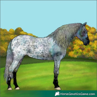 Horse Color:ERROR: UNKNOWN ANOMALY