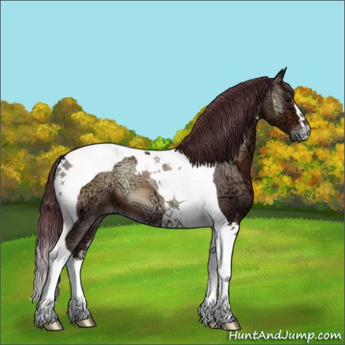Horse Color:Chocolate Brown Ice Onyx Tobiano