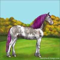 Horse Color:Painted White Spotted Chocolate Sable Champagne Ice Onyx Splash 