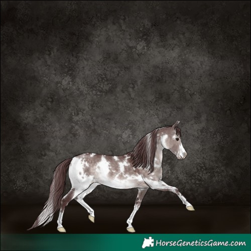 Horse Color:Platinum White Spotted Chocolate Brown Dun