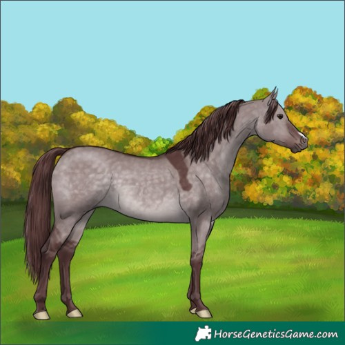 Horse Color:Platinum Chocolate Brown Dun 