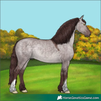 Horse Color:Platinum Chocolate Brown Dun 