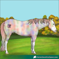 Horse Color:Nacre Gold Champagne Dun Splash 