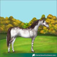 Horse Color:Platinum White Spotted Chocolate Brown Onyx 
