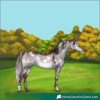 Horse Color:Platinum White Spotted Chocolate Brown Dun