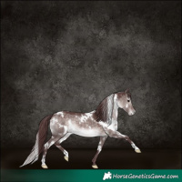 Horse Color:Platinum White Spotted Chocolate Brown Dun 