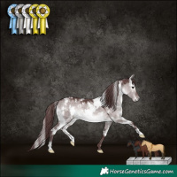 Horse Color:Platinum White Spotted Chocolate Brown Dun 