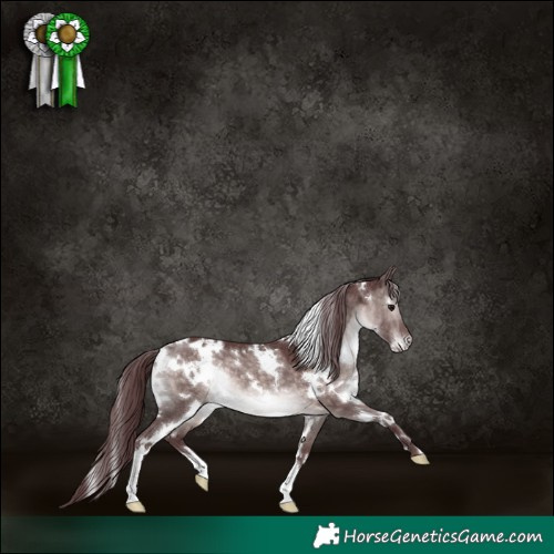 Horse Color:Platinum White Spotted Chocolate Brown Dun 