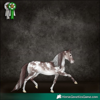 Horse Color:Platinum White Spotted Chocolate Brown Dun 