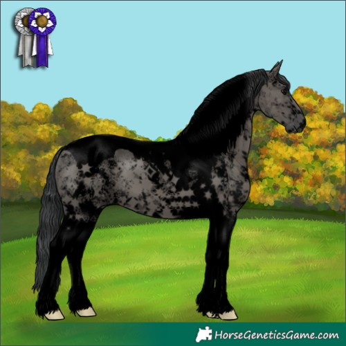 Horse Color:Void Grullo Sabino Tobiano 