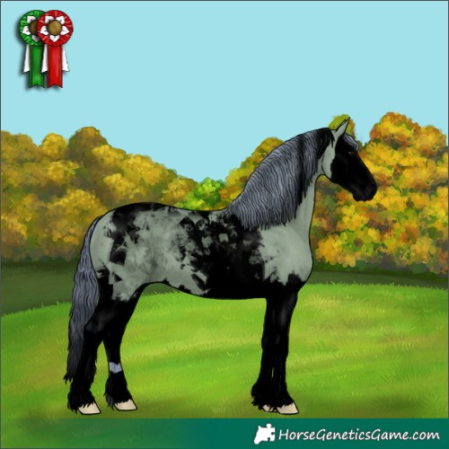 Horse Color:Void Watercolor Grullo Splash Tobiano