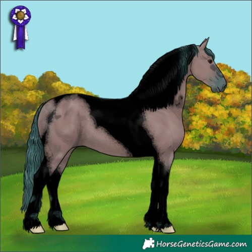 Horse Color:Void Watercolor Grullo Tobiano 