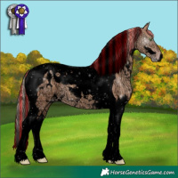 Horse Color:Void Painted White Spotted Gold Champagne Ice Tobiano