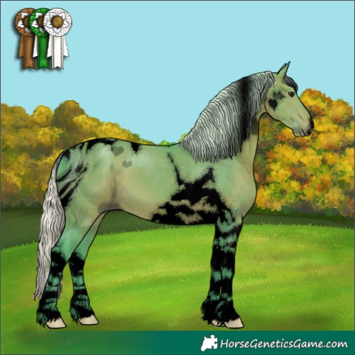 Horse Color:ERROR: UNKNOWN ANOMALY
