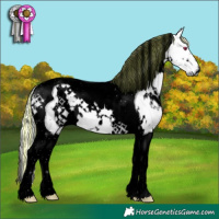 Horse Color:Void Painted White Spotted Chestnut Chinchilla Tobiano 