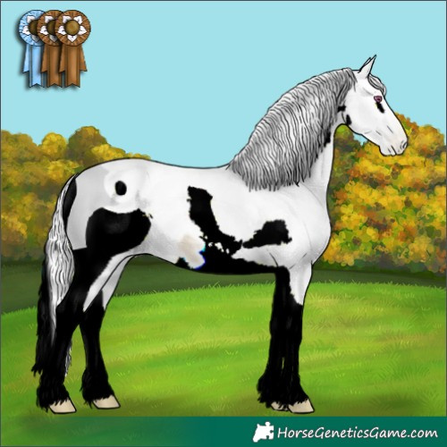 Horse Color:ERROR: UNKNOWN ANOMALY