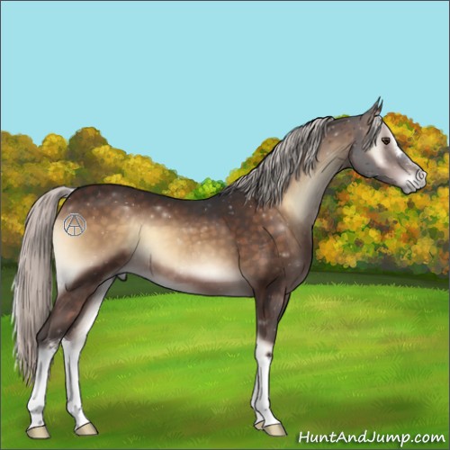Horse Color:Silver Brown Onyx 