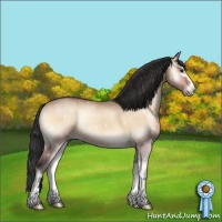 Horse Color:Brown Onyx Sabino Rabicano 