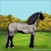 Horse Color:Grullo Onyx Sabino Splash