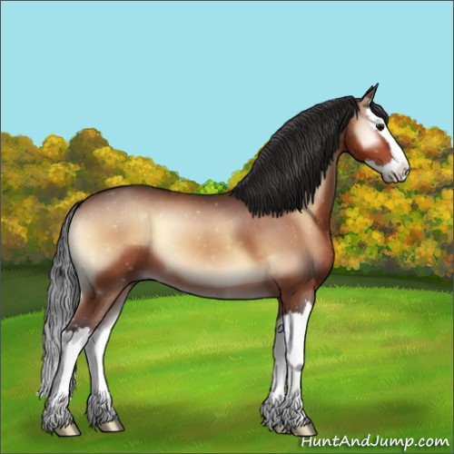 Horse Color:Brown Onyx Sabino Splash 
