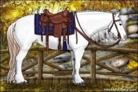 Horse Color:Smoky Black Sabino Appaloosa Rabicano