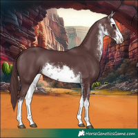Horse Color:White Spotted Chocolate Black 