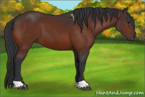 Horse Color:Brown 