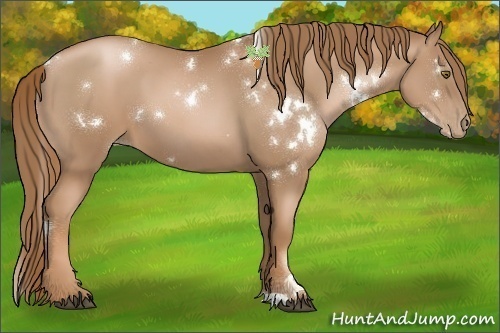 Horse Color:White Spotted Liver Chestnut Pearl 