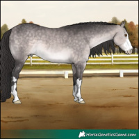 Horse Color:Platinum Buckskin 