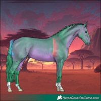 Horse Color:Watercolor Bay 