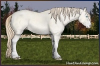 Horse Color:Perlino Dun Sabino 