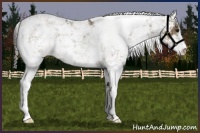 Horse Color:Smoky Grullo Sabino Rabicano 