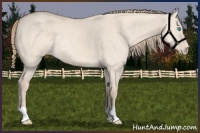 Horse Color:Perlino Dun 
