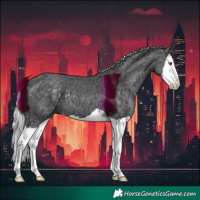 Horse Color:Silver Black Chinchilla Ice Splash 
