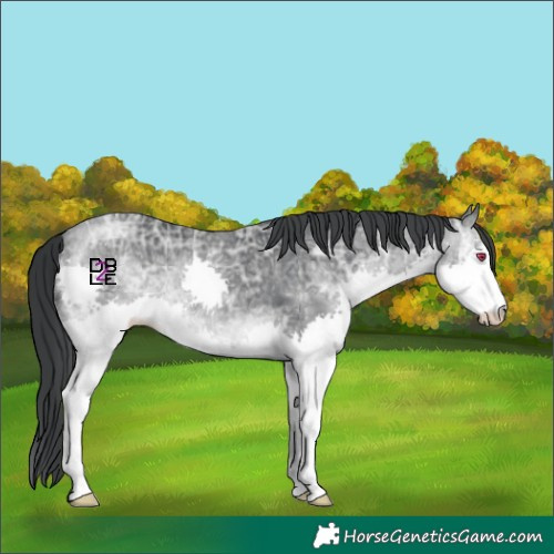 Horse Color:Brown Chinchilla Ice Splash