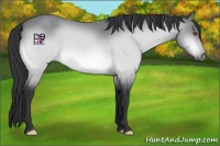 Horse Color:Brown Chinchilla