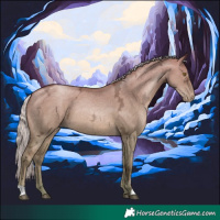 Horse Color:Silver Brown Ice Pearl Dun 