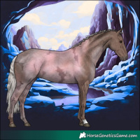 Horse Color:Silver Black Ice 
