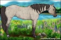 Horse Color:Smoky Grullo Roan 