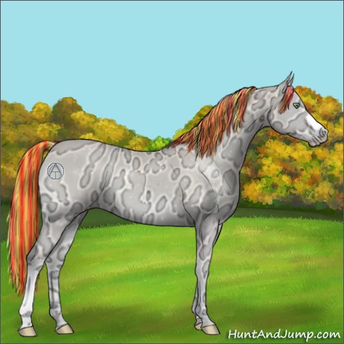 Horse Color:Painted Perlino Ice Roan Onyx 