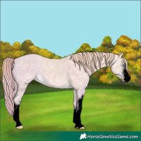 Horse Color:Void White Spotted Perlino Ice