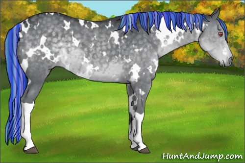 Horse Color:Painted White Spotted Silver Black Chinchilla