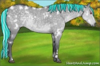Horse Color:Painted White Spotted Silver Grullo Chinchilla Rabicano 
