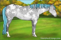 Horse Color:Painted White Spotted Silver Grullo Chinchilla Varnish Rabicano 