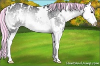 Horse Color:Painted White Spotted Silver Blue Onyx Chinchilla Splash Rabicano 