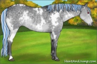 Horse Color:Painted White Spotted Silver Grullo Chinchilla Rabicano 