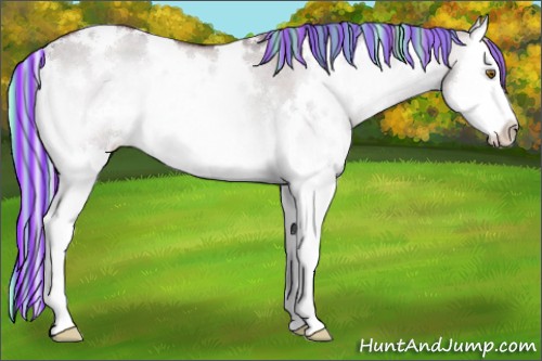 Horse Color:Painted White Spotted Chocolate Silver Grullo Chinchilla Onyx Splash Rabicano 